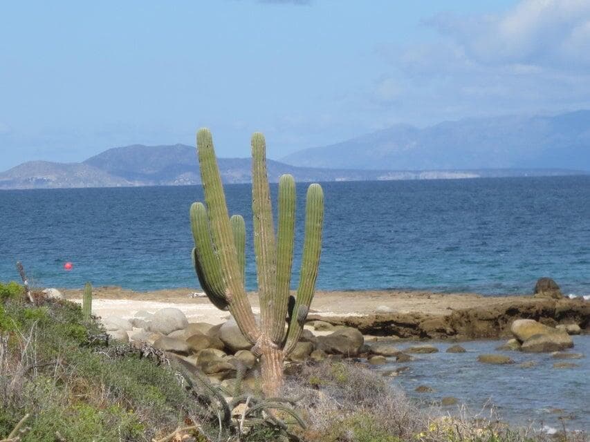Lot 0739 s/n, El Cardonal Beachfront, East Cape